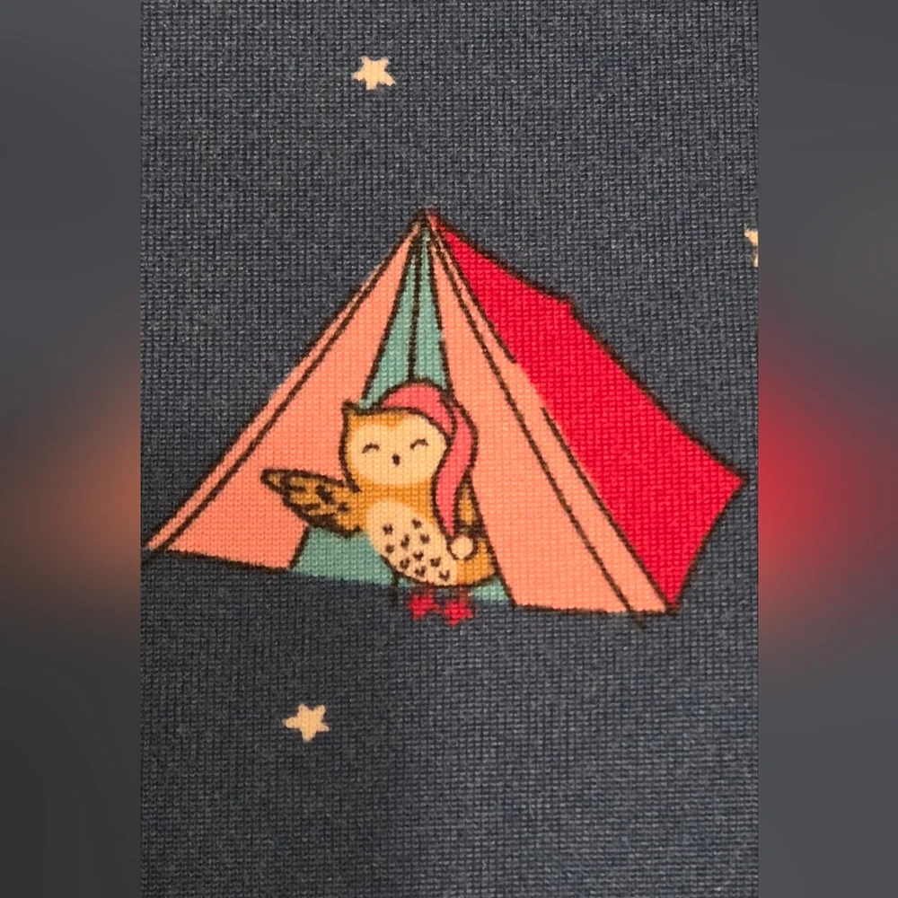 Secret Treasures Nightshirt Blue Camp Trailer Whimsical Critter pattern XL